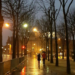 ‎⁨في همس الشجر ⁩