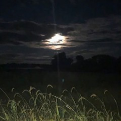 Jason Voorhees (p.wavis2odd1xjuliann)