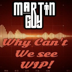Martin Guy - Why Can't We See. WIP!
