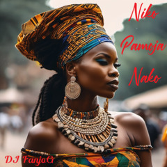 Niko Pamoja Nako