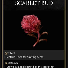 (kni9ht.io ) pls rot [p.whathappencontrol]