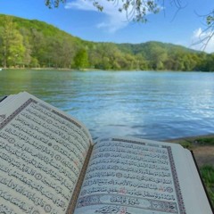 آيَاتٌ بيّنات 💚