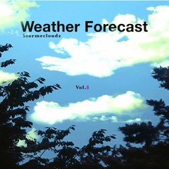 Weather Forecast Vol. 8