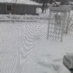 Charlie Sheen ft. D-Rex