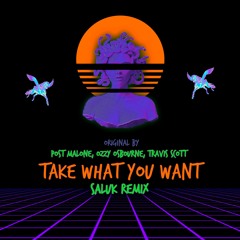 Take What You Want (Bootleg)