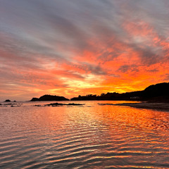 Spring Selections Vol 1 2024