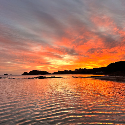 Spring Selections Vol 1 2024