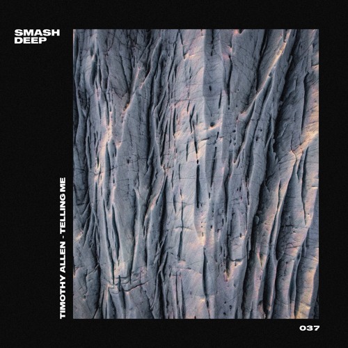 Timothy Allen - Telling Me