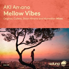 AKI Amano - Mellow Vibes [Soluna Music]