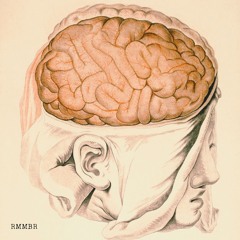 Plasticity - RMMBR