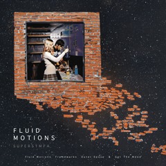 Fluid Motions EP