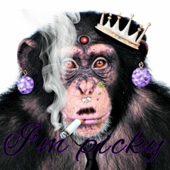 Im picky (unplugged) shaka ponk SassySongbird Cover