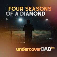 Four Seasons Of A Diamond