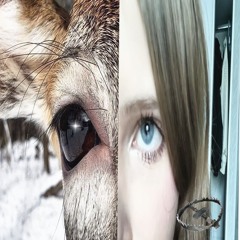 saint laurent jeans - Pardonbenji