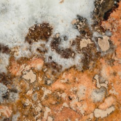 KizoKiz - Emotional (Audio Official)