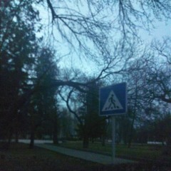Соло гитары "Спокойная Ночь" В.Цой