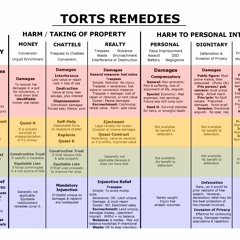 Torts And Damages De Leon.pdf