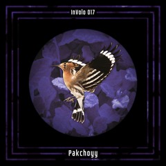 InVolo 017 | Pakchoyy | Rituals Of The Space Jungle