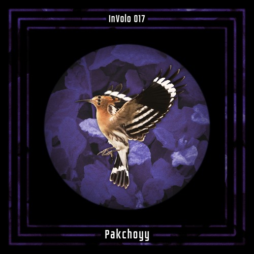 InVolo 017 | Pakchoyy | Rituals Of The Space Jungle