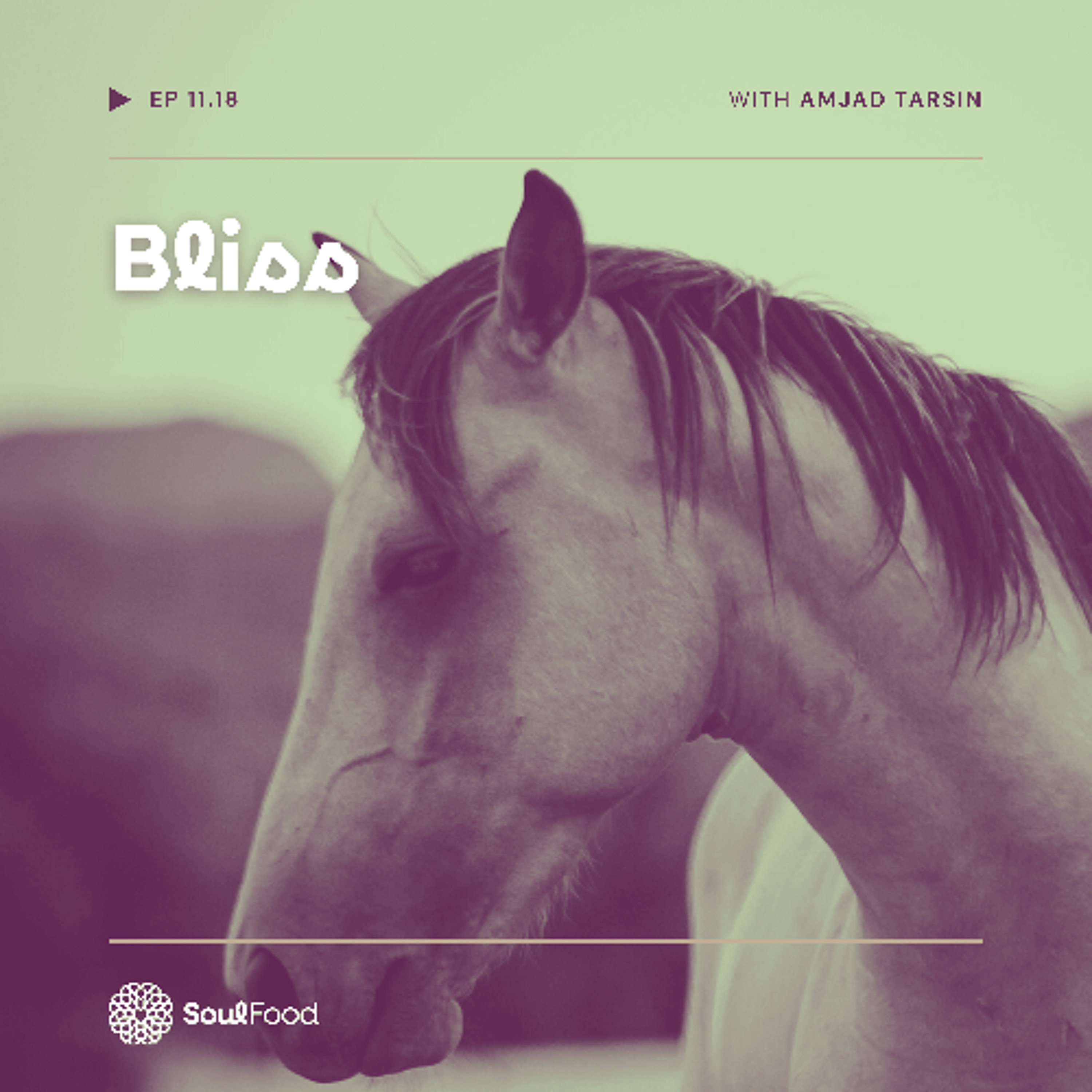 Episode 11.18 - Bliss