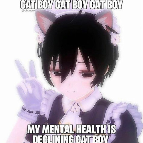 REAL CAT GIRLS CAN BE VERY DISAPPOINTING - Funny Anime Memes 