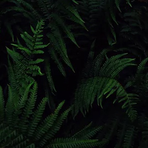 xEDENx - S1E19 (FREE DL)