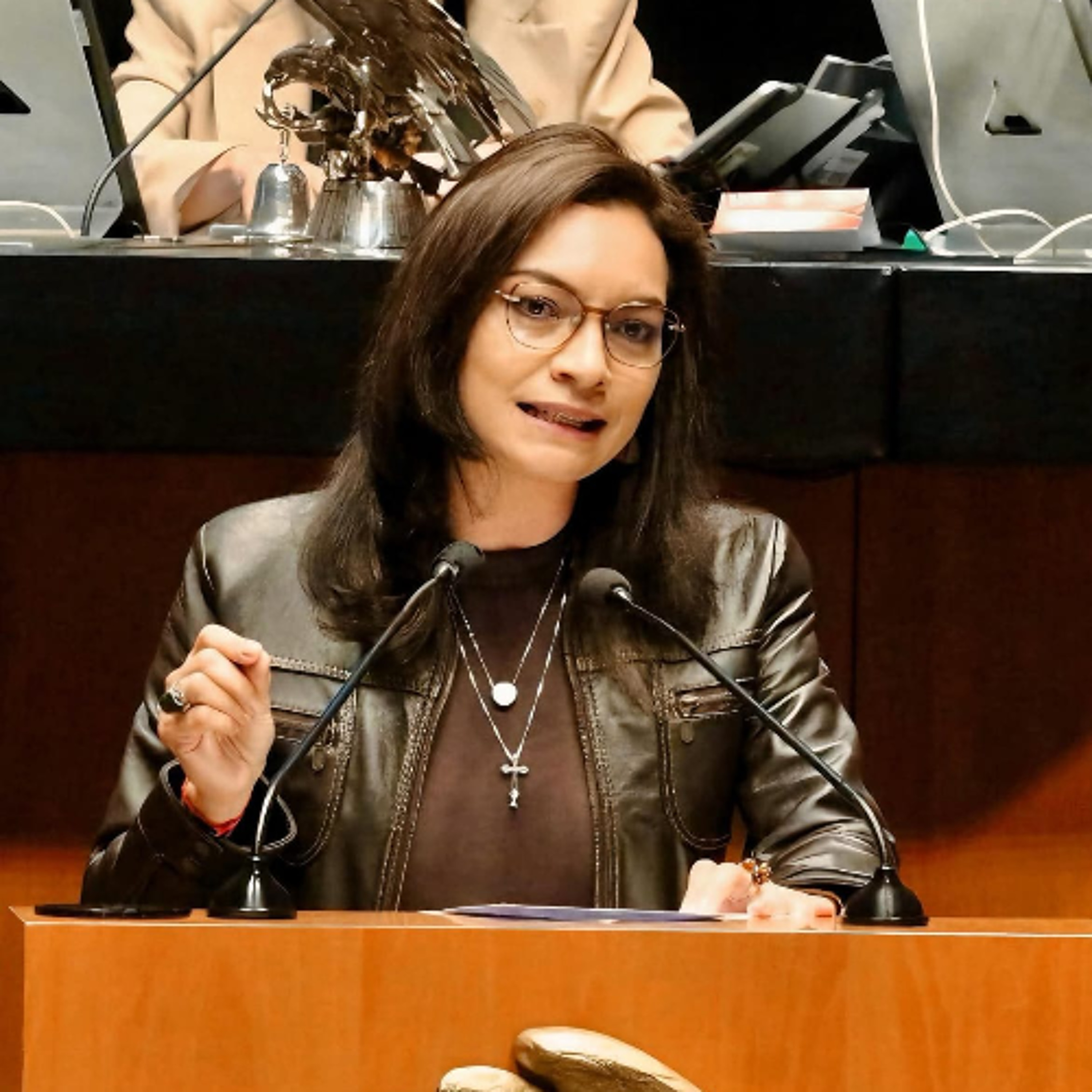 Ley de aguas beneficia a acaparadores de Morena: Sen. Mely Romero episode artwork