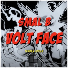 SMAL B - VOLT FACE (TERRAN SPESH) [FREE DL]
