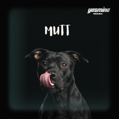 Mutt (YASMINA Remix)