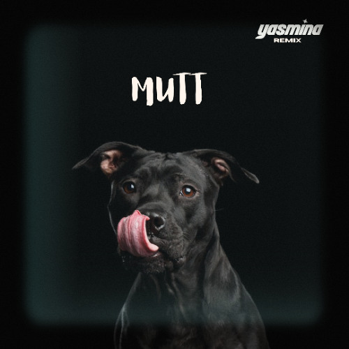 Mutt (YASMINA Remix)