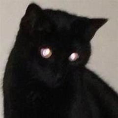 prada bag [1eworld & agoniafeels]  **2025 MOONMUSIK**