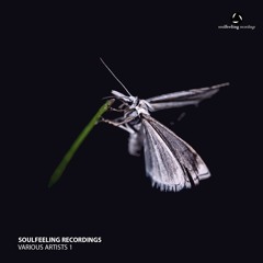 Subrix - Shine (Leniz Remix)