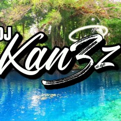 DJ KAN3Z - Une story mystérieuse [remake LPMC 2020]