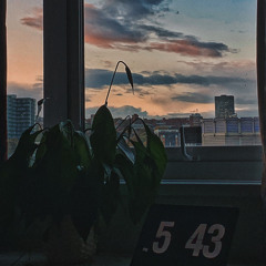 I Can't Love You Right Now