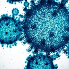 VIRUS