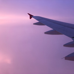 Soar Bliss