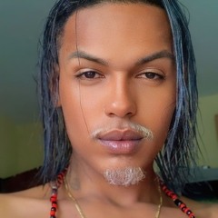 Tubarões - Raphaela Santos