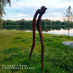 Figurat - Krok (3RIP Jungle Remix)