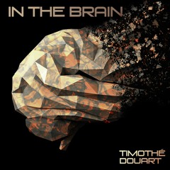 In The Brain