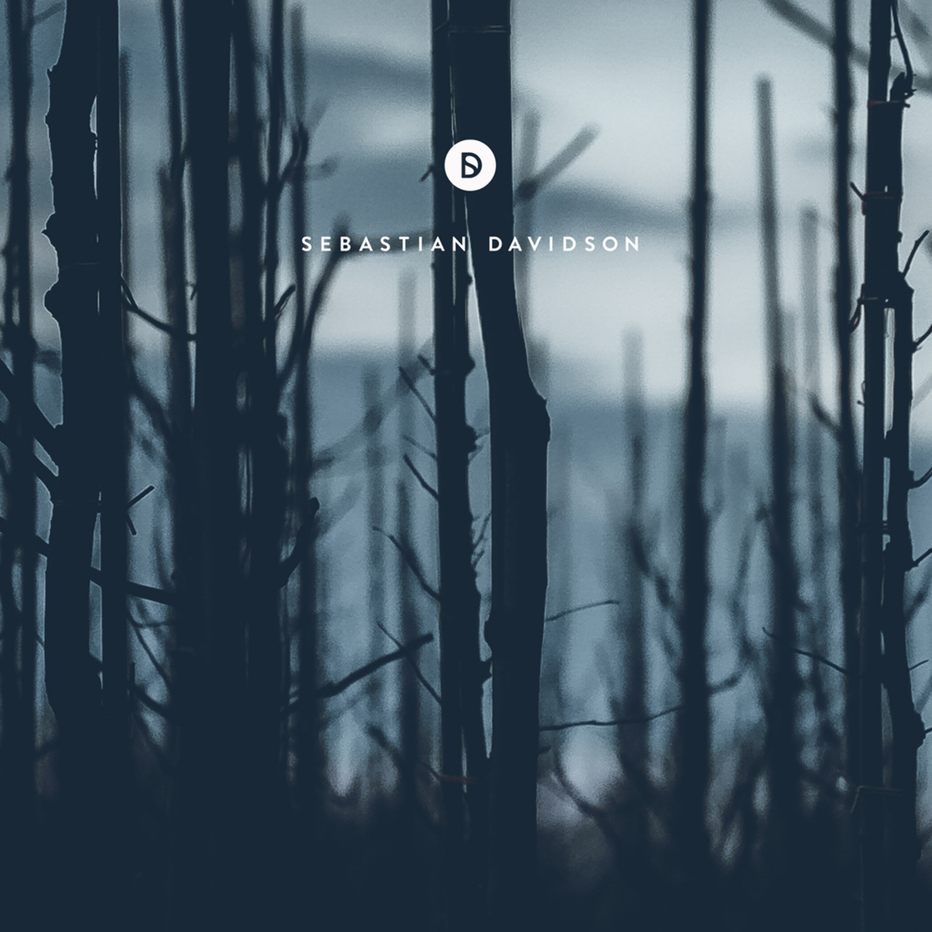 Voyage of Discovery by Sebastian Davidson