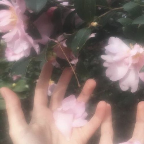 pink skies [prod. Guywithbeats]