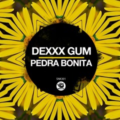 Dexxx Gum - Pedra Bonita (Original Mix) - SNK301