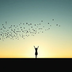 To The Sky