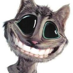 sneaky cat's virus