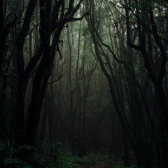 ⫎MA6T-Satya⫍