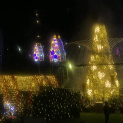 Review Special Price Singapore Christmas Light-Up Tour