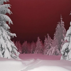 Winter #3