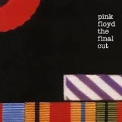 ONE OF THE FEW   cover   PINK FLOYD