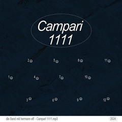 CAMPARI1111.MP3 - DIE BAND MIT HERMAN EFF