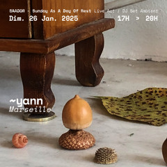 ~Yann (Live) @ Saador ~ 26.01.25